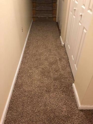 Carpet