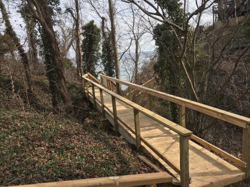 Scientist Cliffs Revine 6 deck